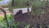 Cowhide Fur Leather Sling Purse Women Handbags Mini Size Sling Purse